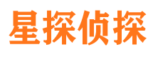 宁河侦探公司